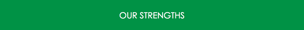 &nbsp;OUR STRENGTHS
