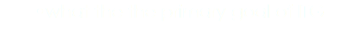•what the the primary goal of ITG 
